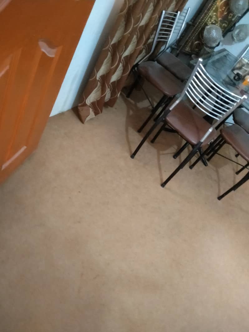 Carpet 5