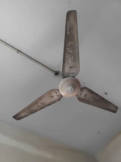 ceiling fan for sale