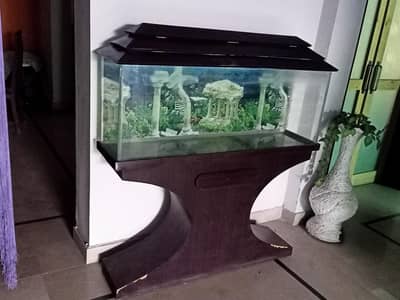 Fish Aquarium
