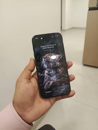 Iphone 14 Pro Pta