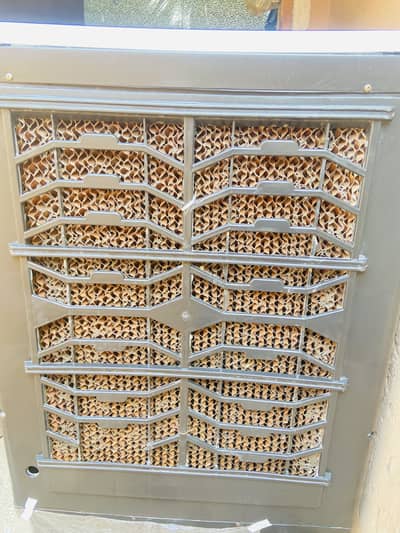 10 by 10 condition pak Asia cooler full working