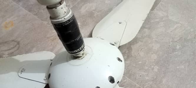 Ceiling fan