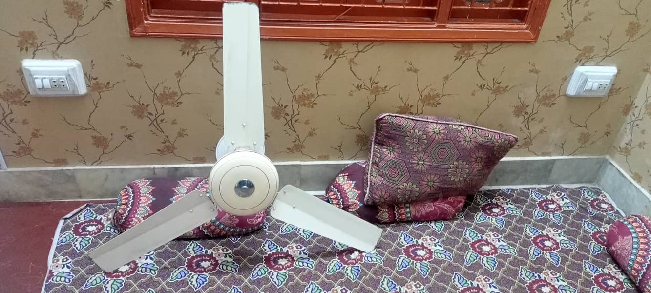 Ceiling fan 5