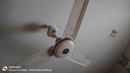 Pak fans and other fans. all in working condition total 17 fa 220 watt