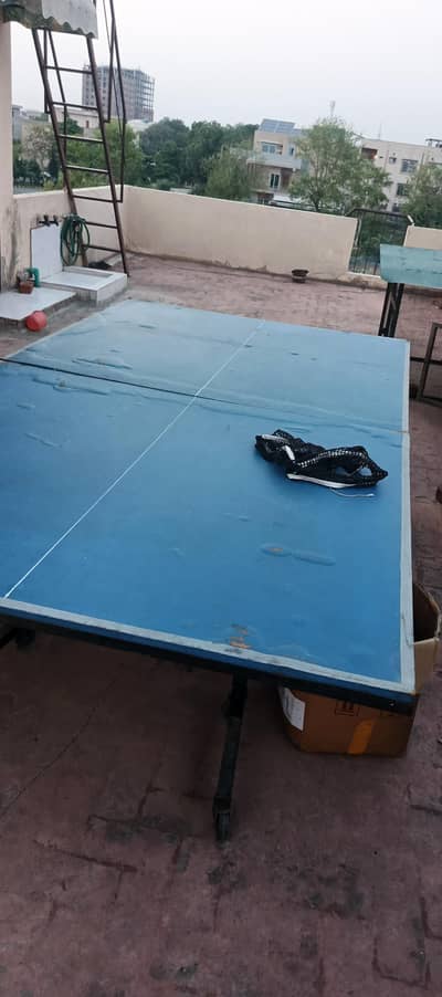 table tennis table