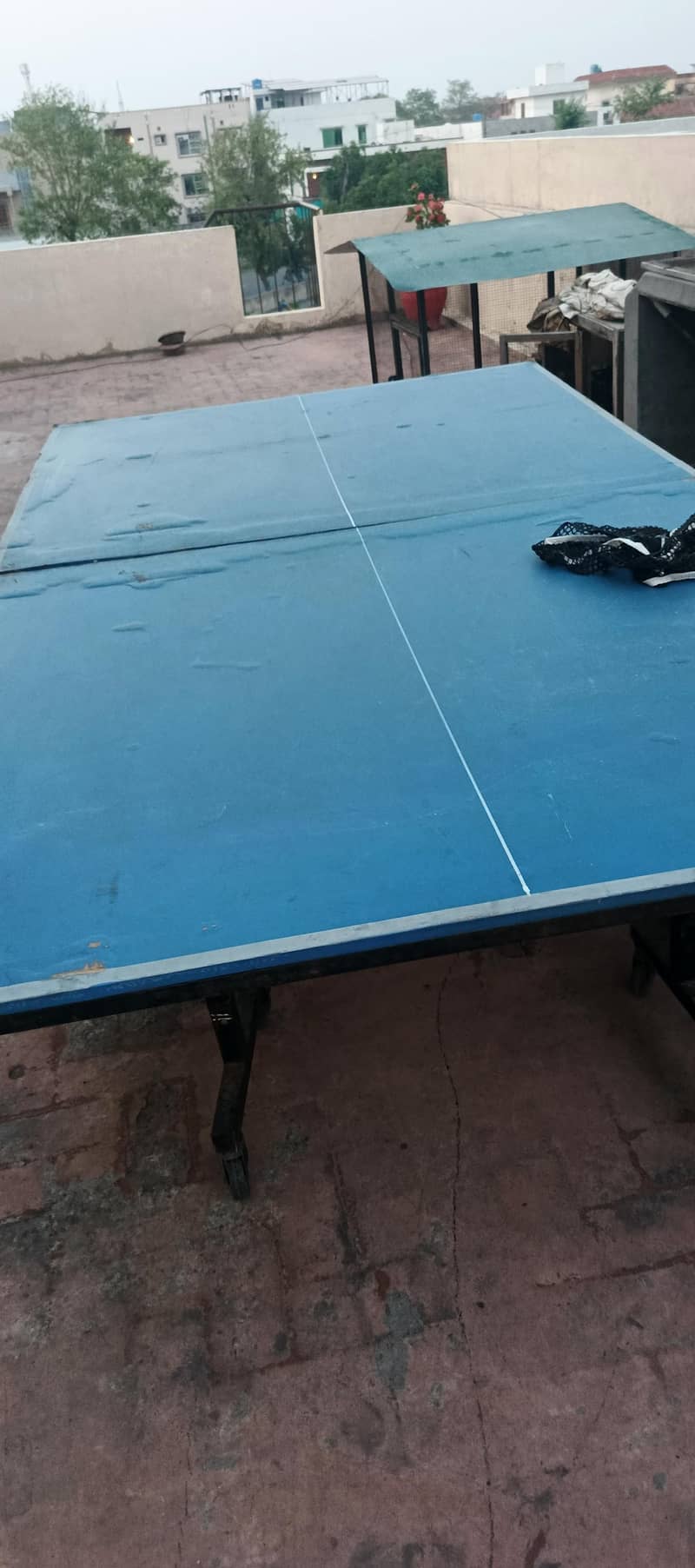 table tennis table 1