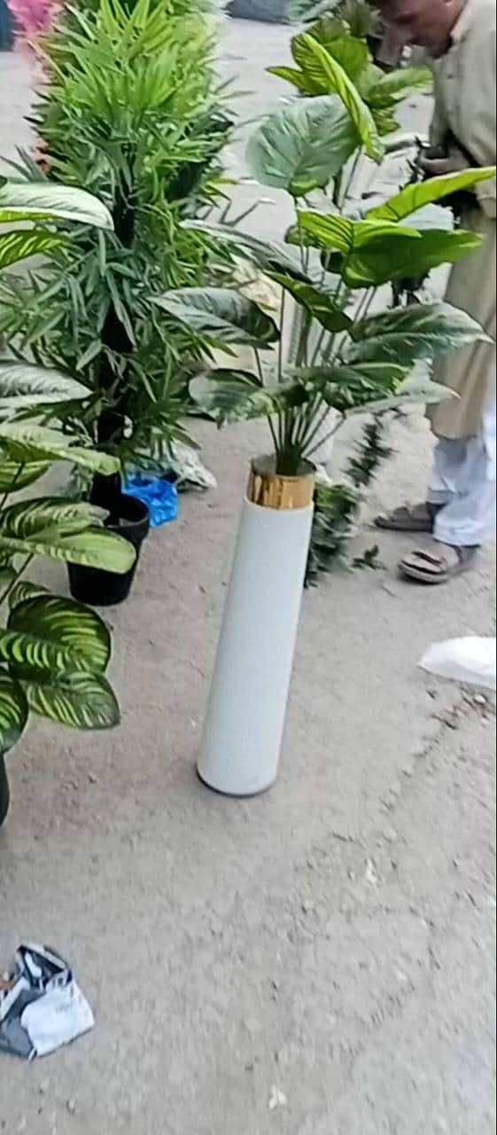 plants pots 2