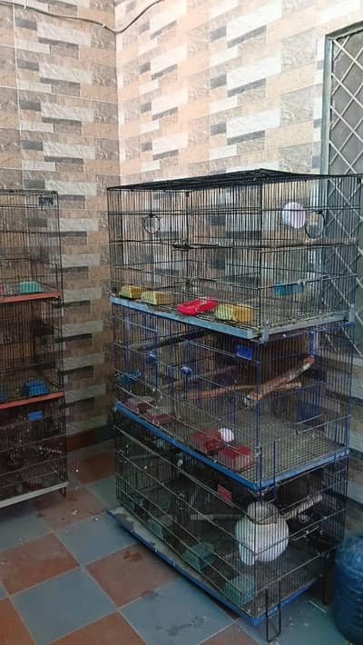 2 portions iron folding cage. (3x1.5x1.5)