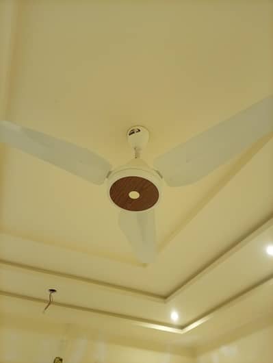 upper fan