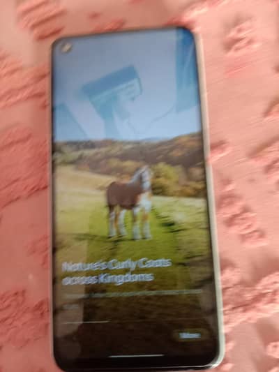 Oppo A52 4GB/128GB – Screen Changed, Good Condition