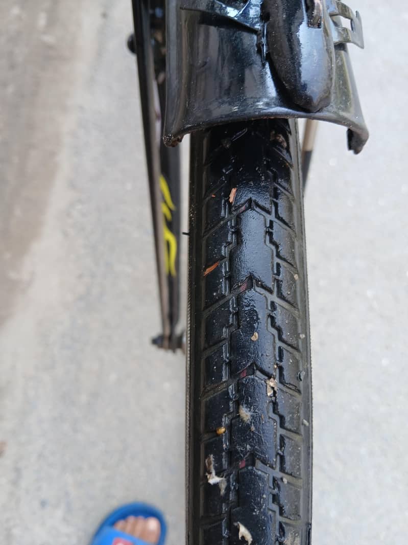 Sohrab cycle 6