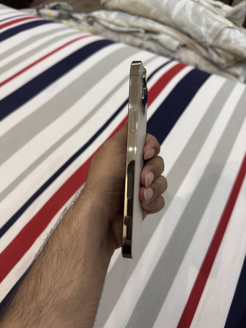 IPHONE 13 PRO MAX PTA 5