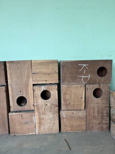 GRAY PARROT L SHAPE  BREEDING BOXES