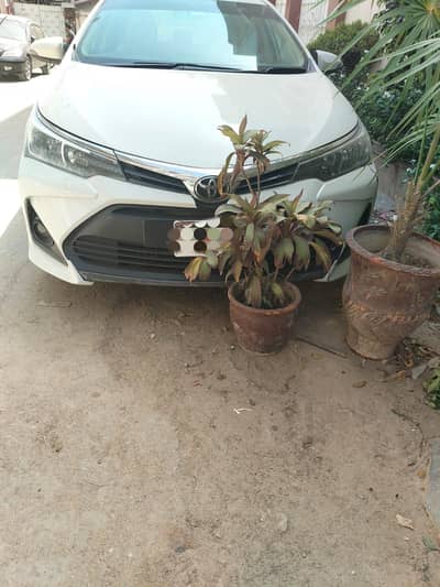 Corolla GLi automatic 2018/19