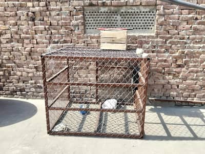 cage.