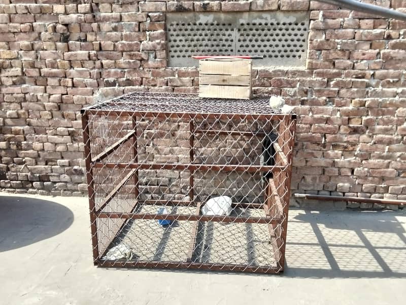 cage. 0