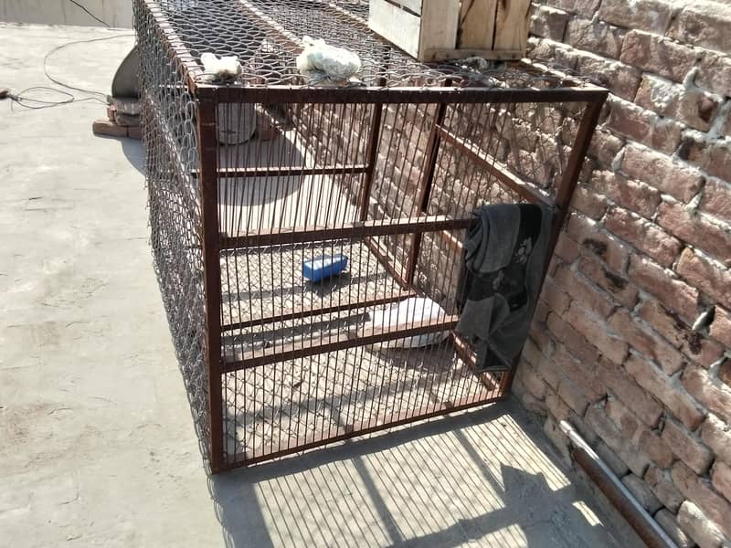 cage. 1