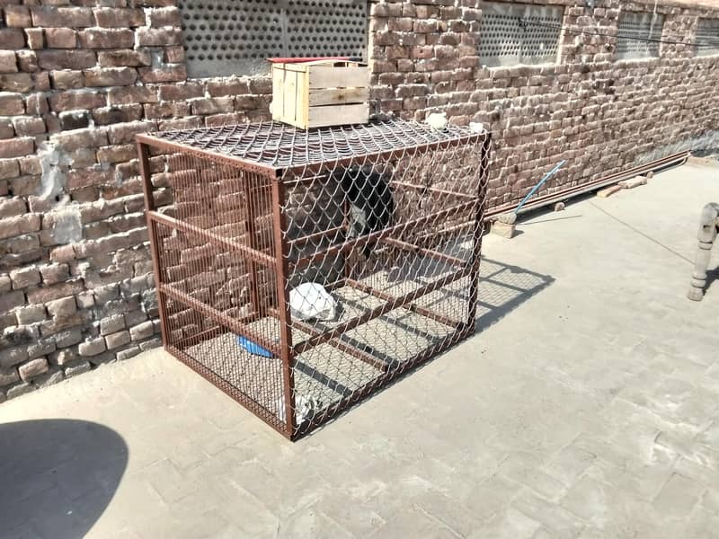 cage. 2