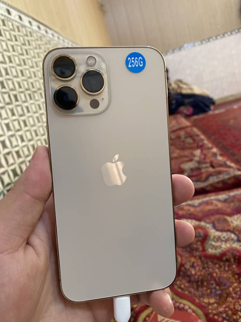iphone 13 pro max 0