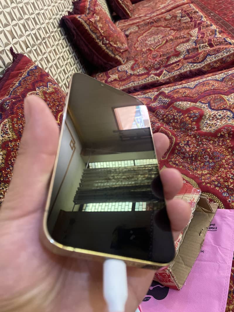 iphone 13 pro max 2