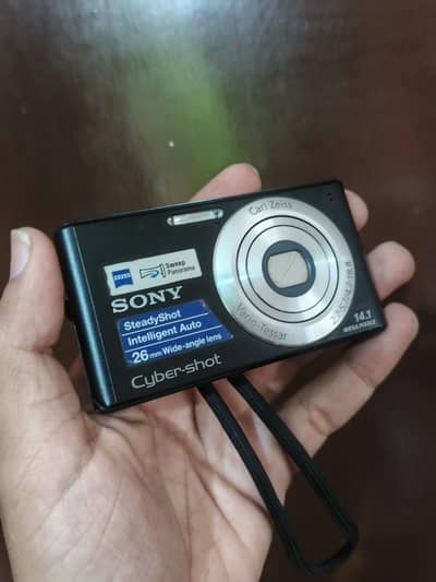 Sony Cyber-shot DSC-W530 (Vintage Aesthetic Camera)