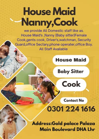 Maids,Baby sitter,Nurse,Cook,Drivers