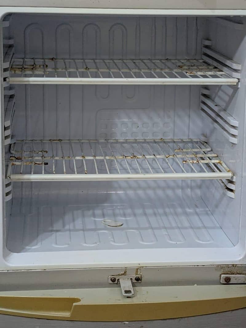 Fridge 1