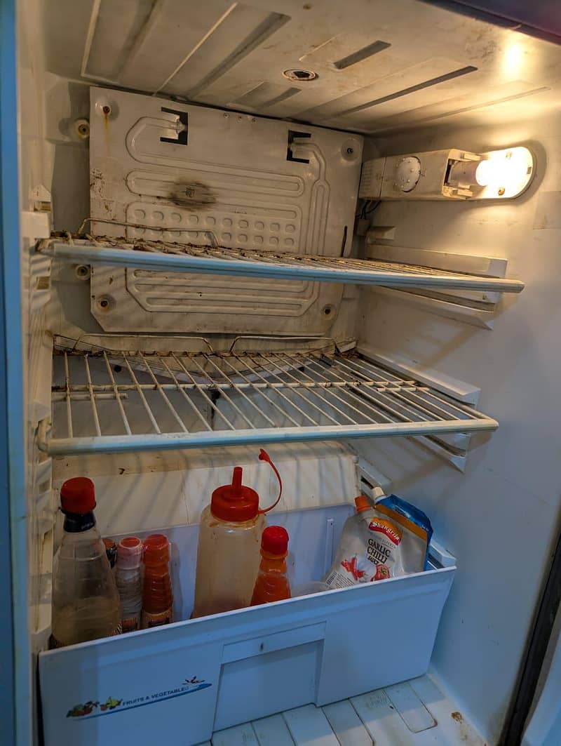 Fridge 4