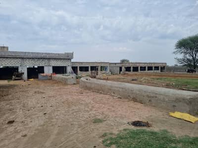 Commercial Property for Rent in Kharian- Ready Dairy Farm Setup