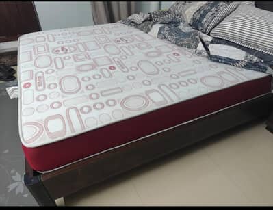 Master MoltyFoam Queen Size Mattress (8 inches) - Immaculate Condition