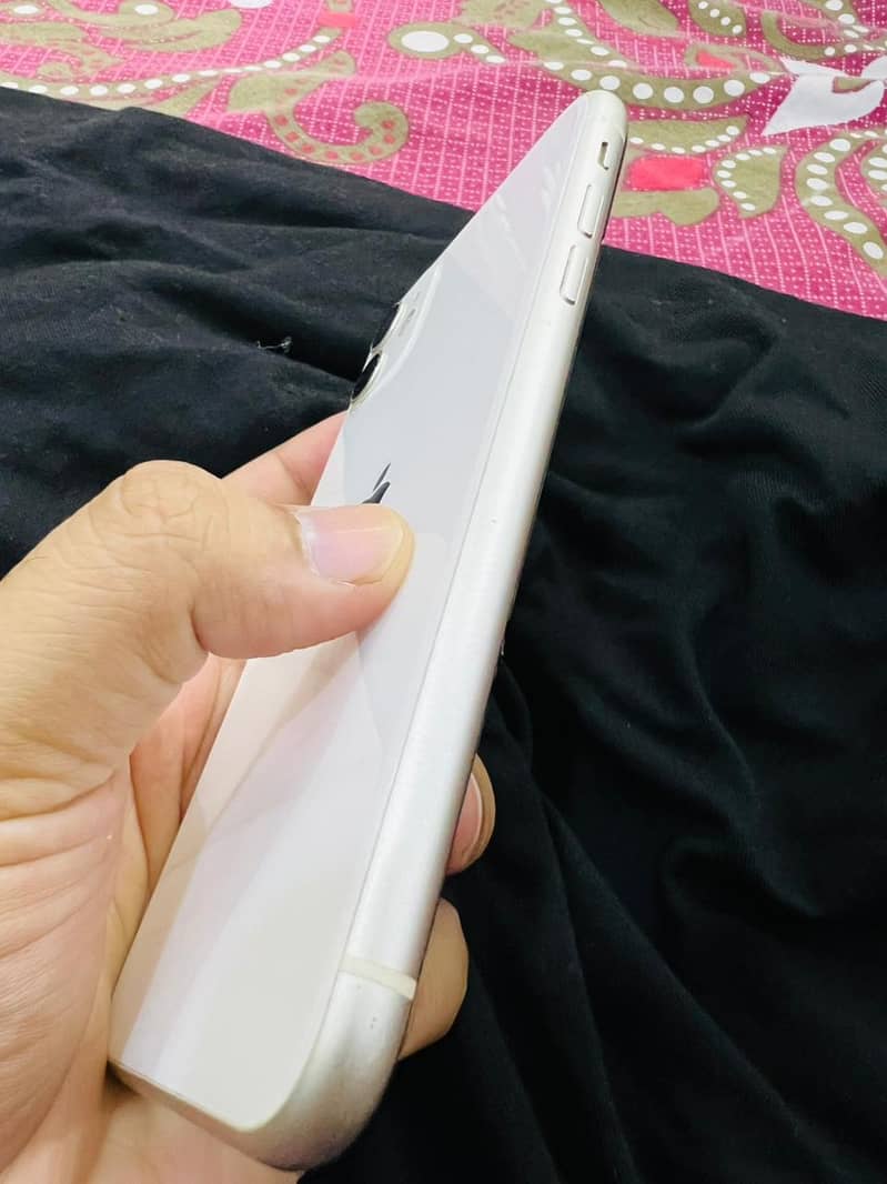 iPhone 11 0