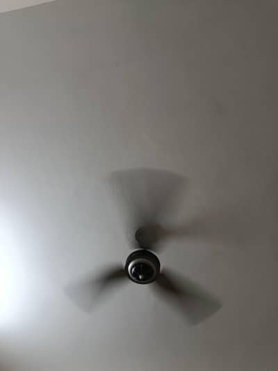 Lahore fan