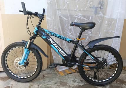 20 size bicycle