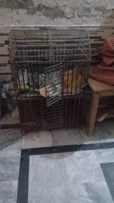 pinjra for sale