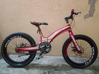 20 SIZE IMPORTANT BICYCLE URGENT SALE NUMBER ( 0310.4801415 )
