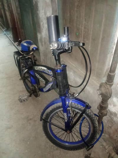 road king original bicycle