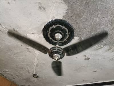 Parwaz Ceiling Fancy Black Fan High Speed 220v Black Color