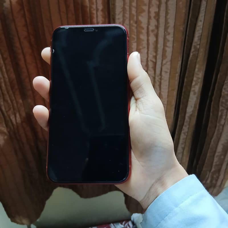 iPhone 11 6