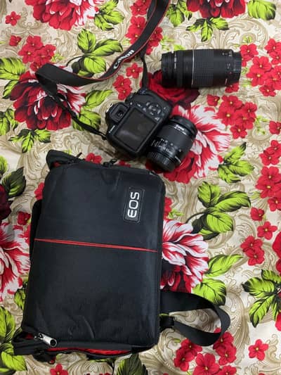 CANON CAMER FOR SALE CONTACT 03158168046 03020434421 WHATSAPP ALSO