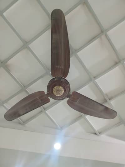 Ceiling Fans GFC Fans
