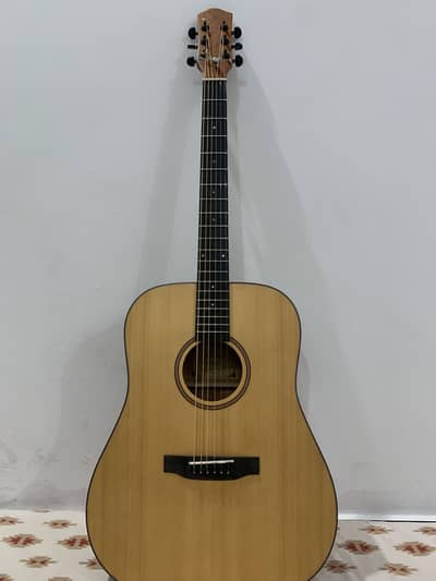 Original donner dag-1 guitar | repaired neck | with free accessories