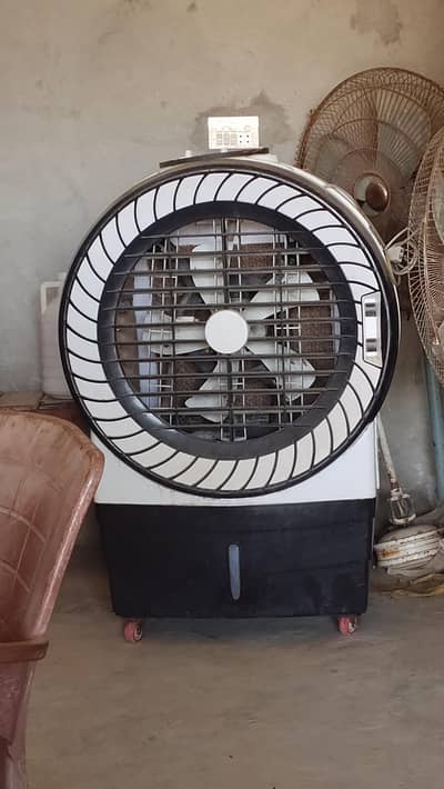 color for sale in bhawalpur