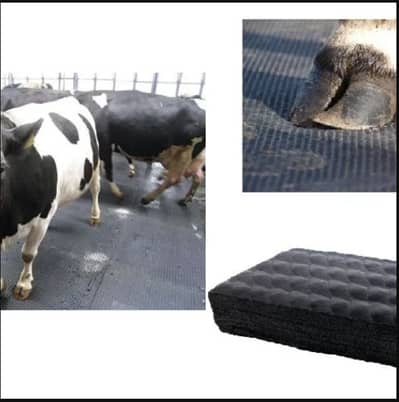 Premium Cow Mats & Gym Floor Mats 6x4 Heavy Duty Anti Slip Waterproof