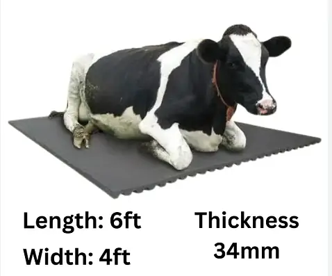Premium Cow Mats & Gym Floor Mats 6x4 Heavy Duty Anti Slip Waterproof — photo 3