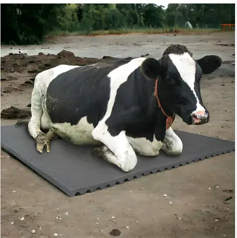 Premium Cow Mats & Gym Floor Mats 6x4 Heavy Duty Anti Slip Waterproof — photo 4