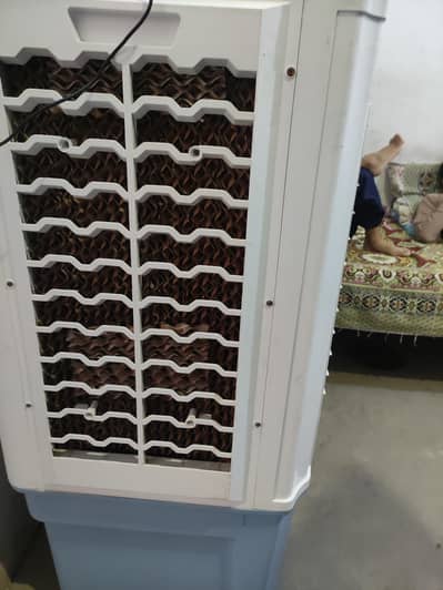 Air cooler