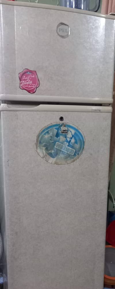 PEL Fridge Medium Size | Perfect for Home Usei
