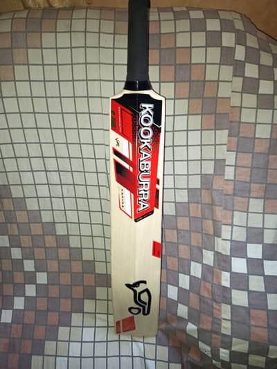 cricket hard bowl bat