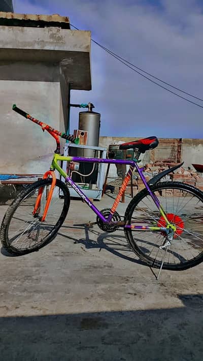 phoenix cycle wheeling