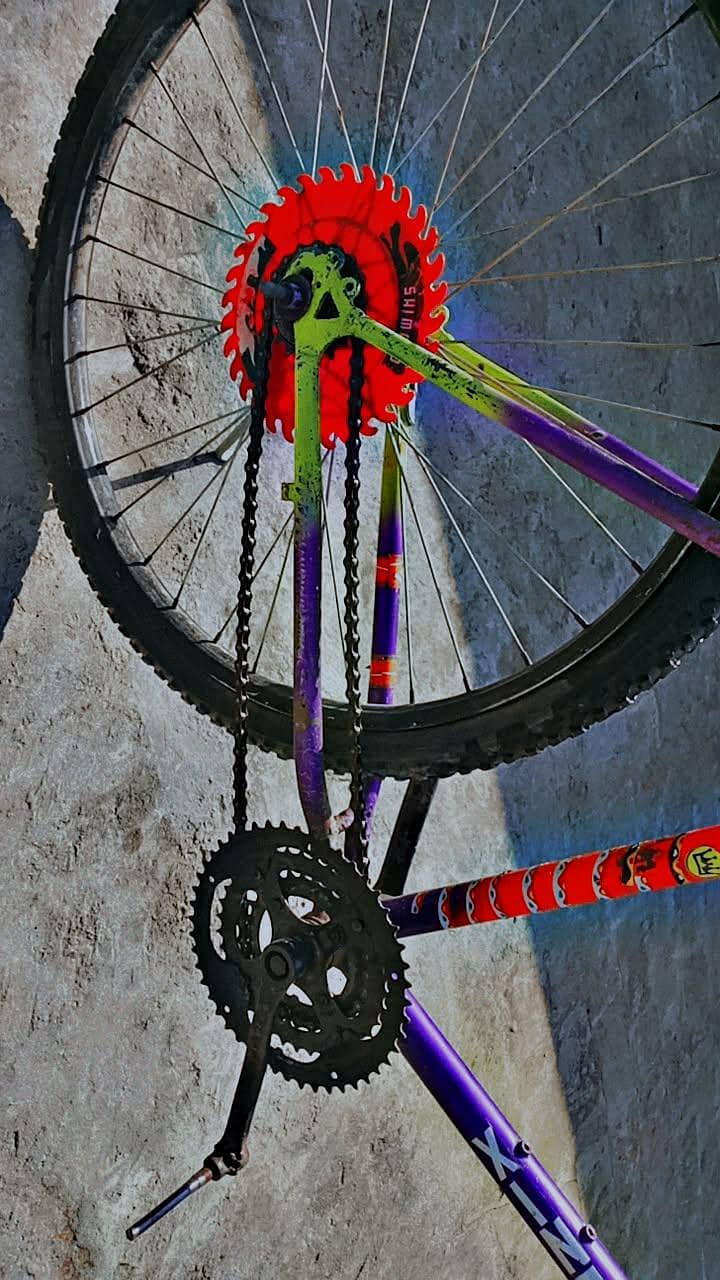 phoenix cycle wheeling 1